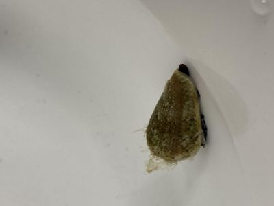 IMG_0945.jpeg