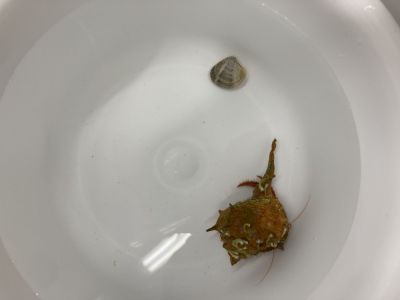 IMG_0935.jpeg