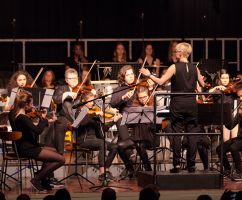 Kammerorchester 1.jpg
